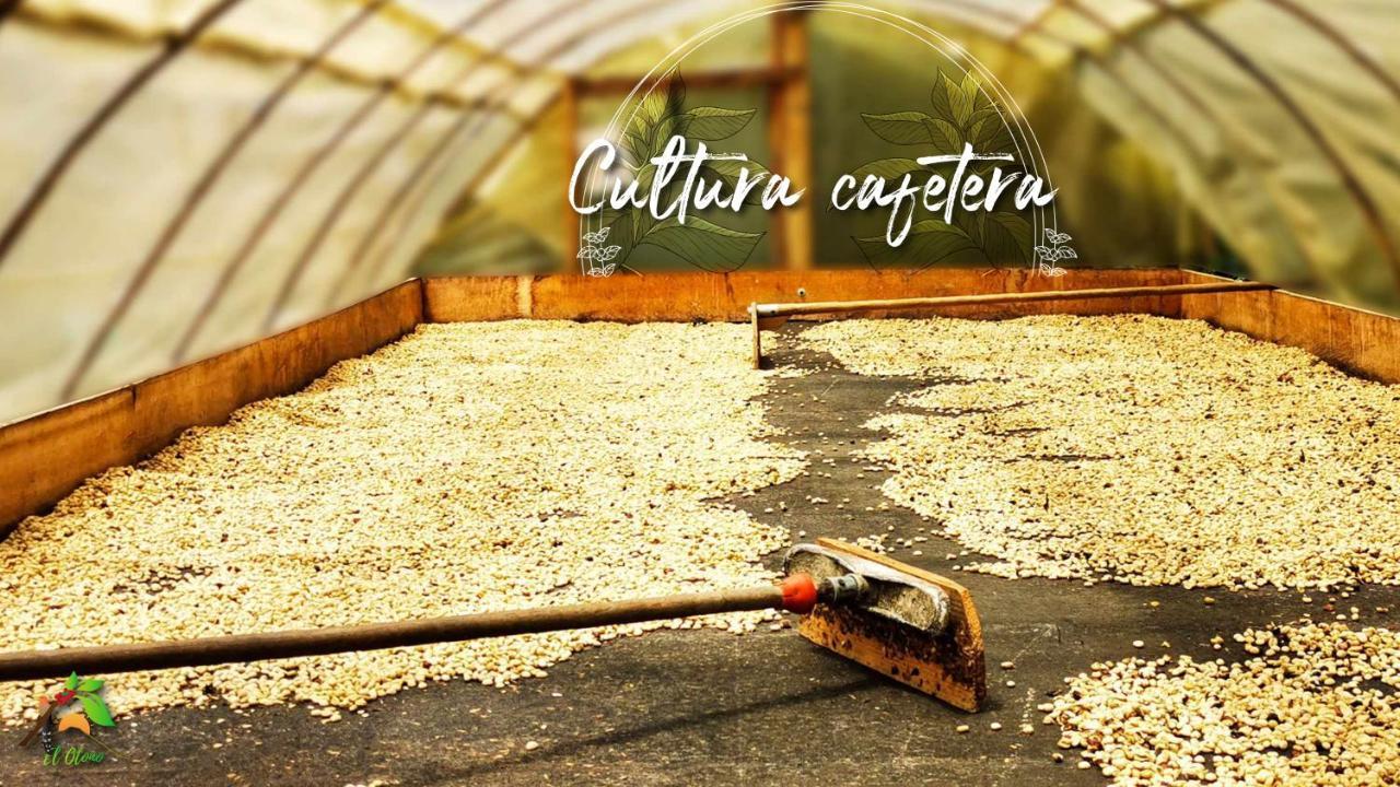 Finca Tradicional El Otono Pijao Ngoại thất bức ảnh