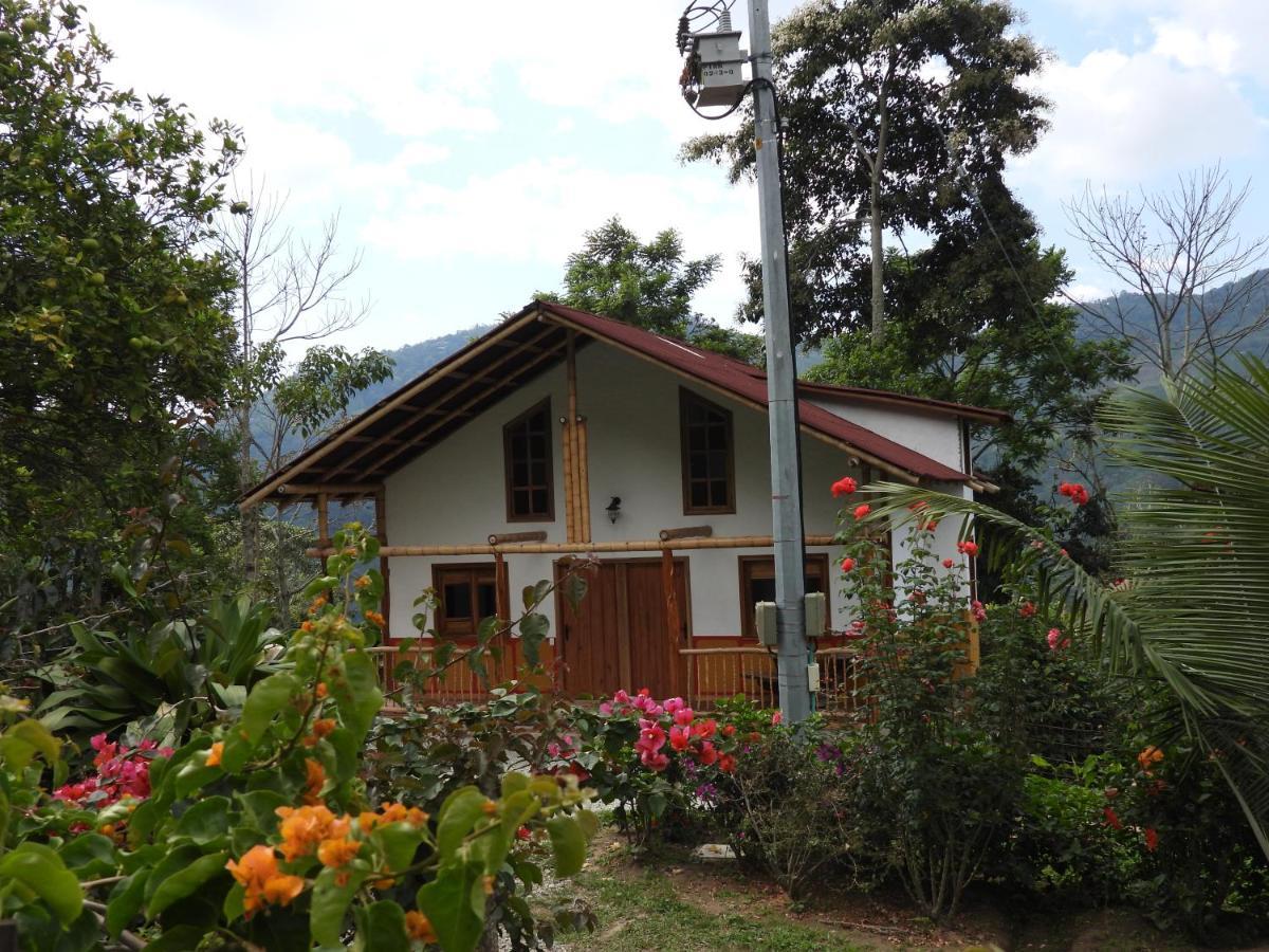 Finca Tradicional El Otono Pijao Ngoại thất bức ảnh