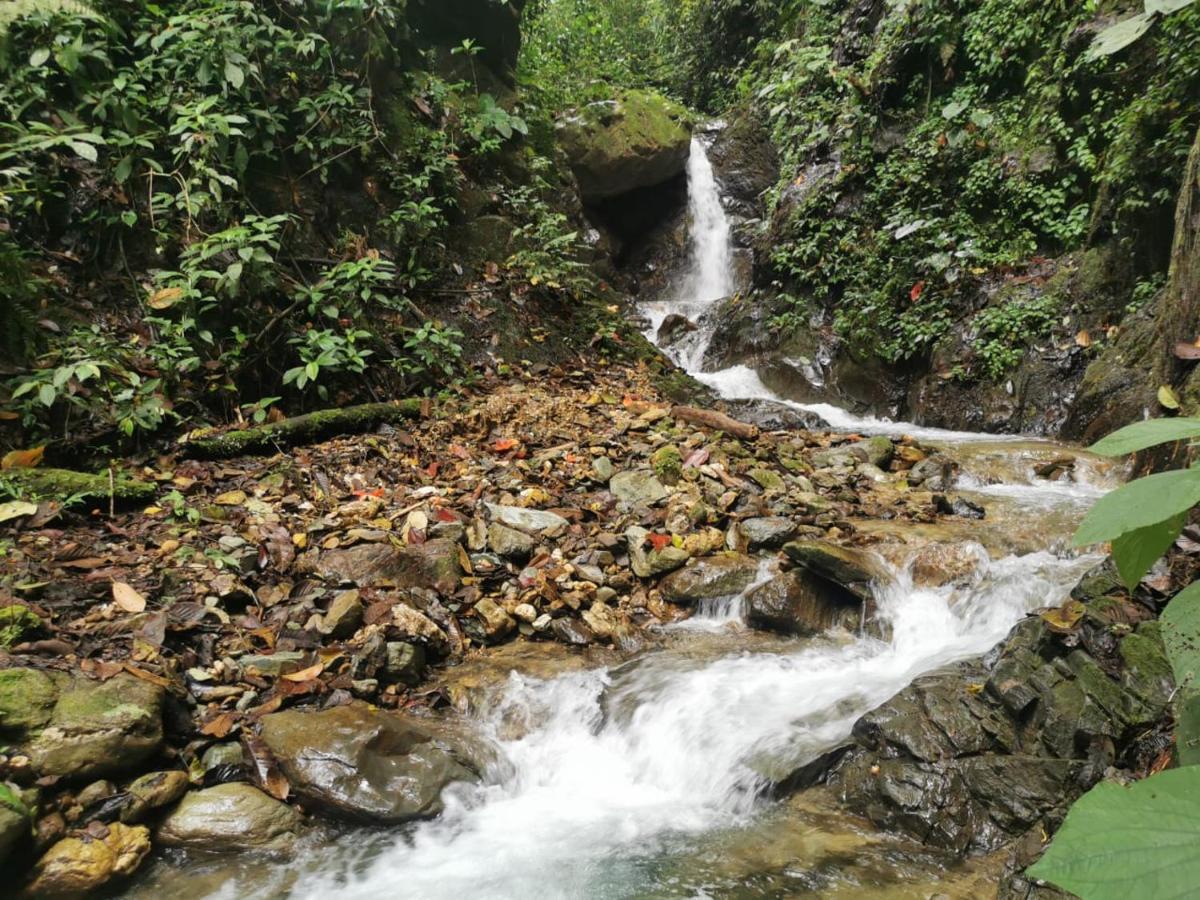 Finca Tradicional El Otono Pijao Ngoại thất bức ảnh