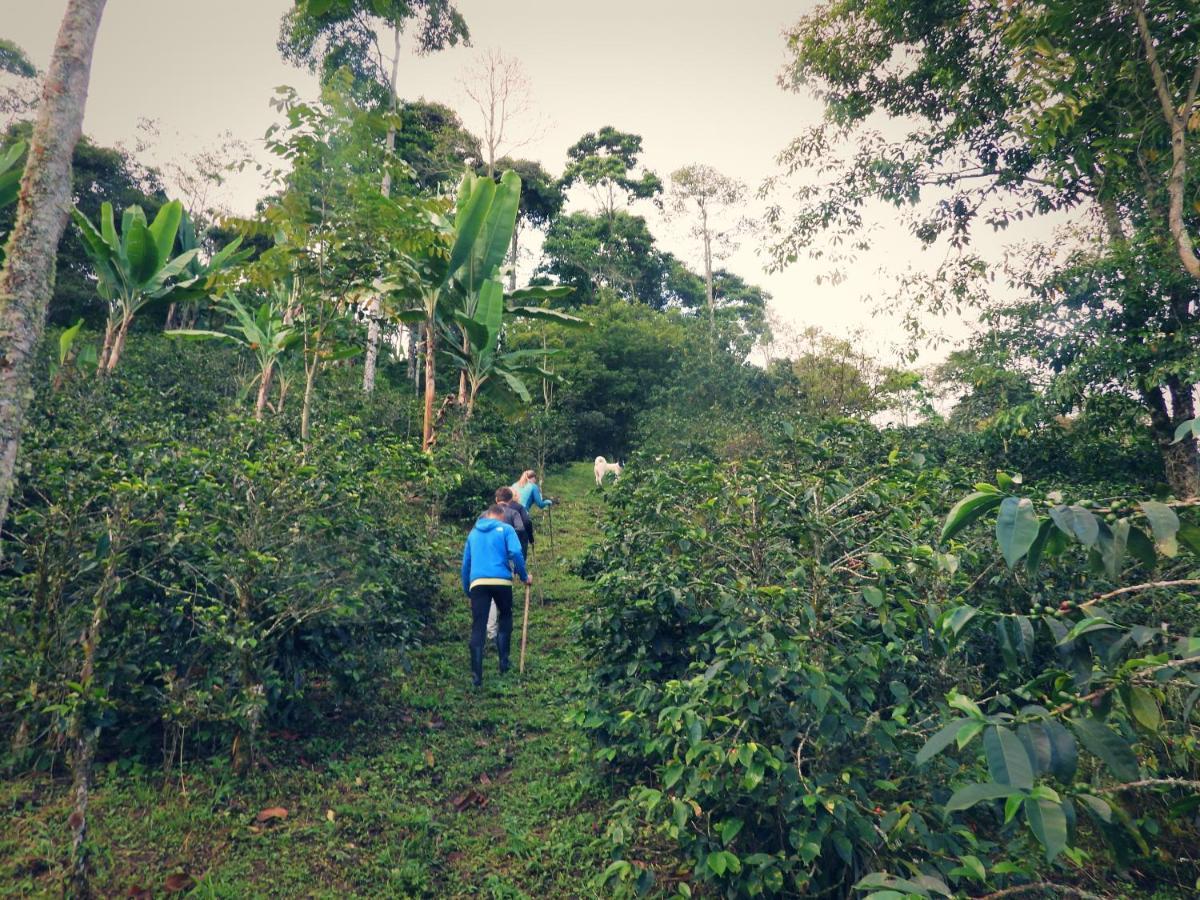 Finca Tradicional El Otono Pijao Ngoại thất bức ảnh