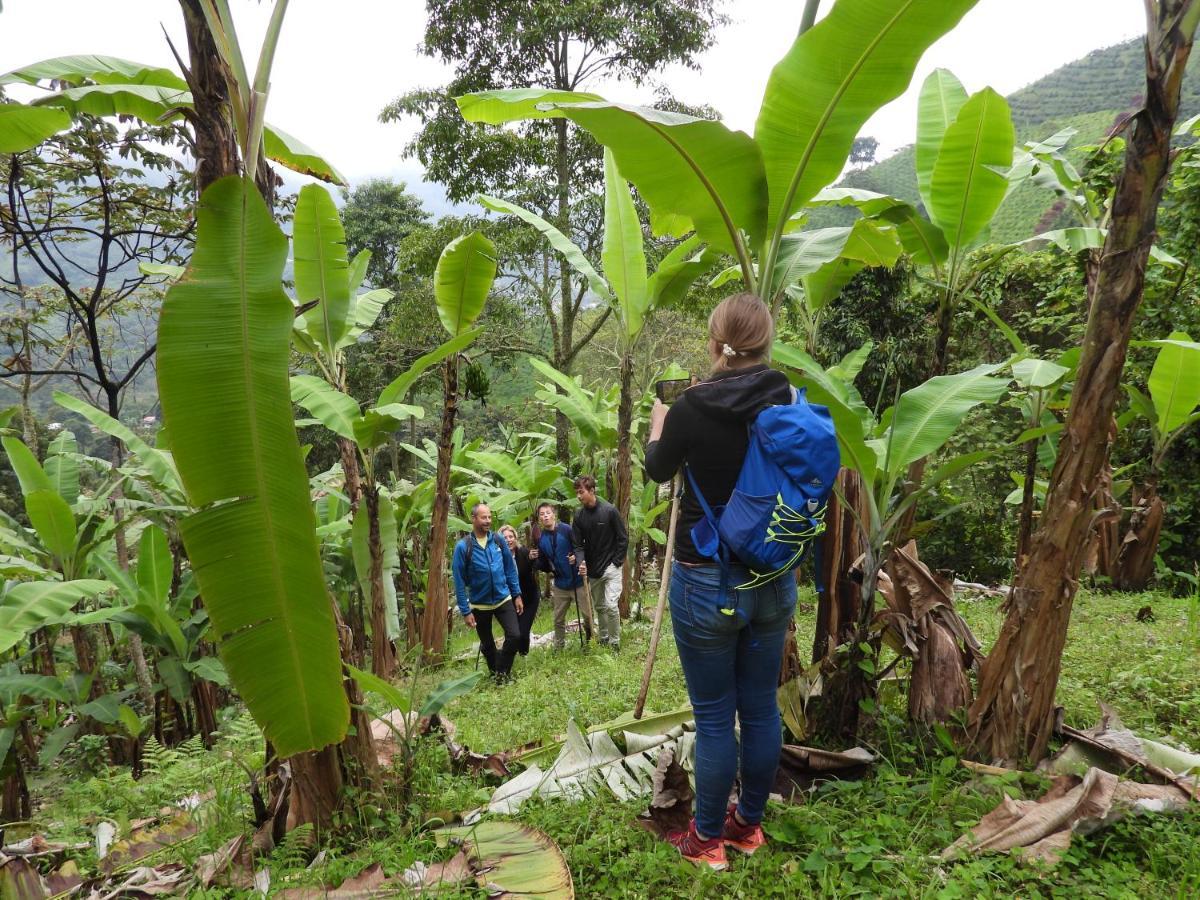 Finca Tradicional El Otono Pijao Ngoại thất bức ảnh