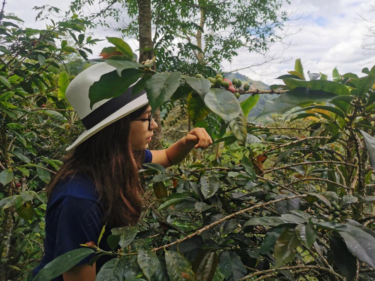 Finca Tradicional El Otono Pijao Ngoại thất bức ảnh