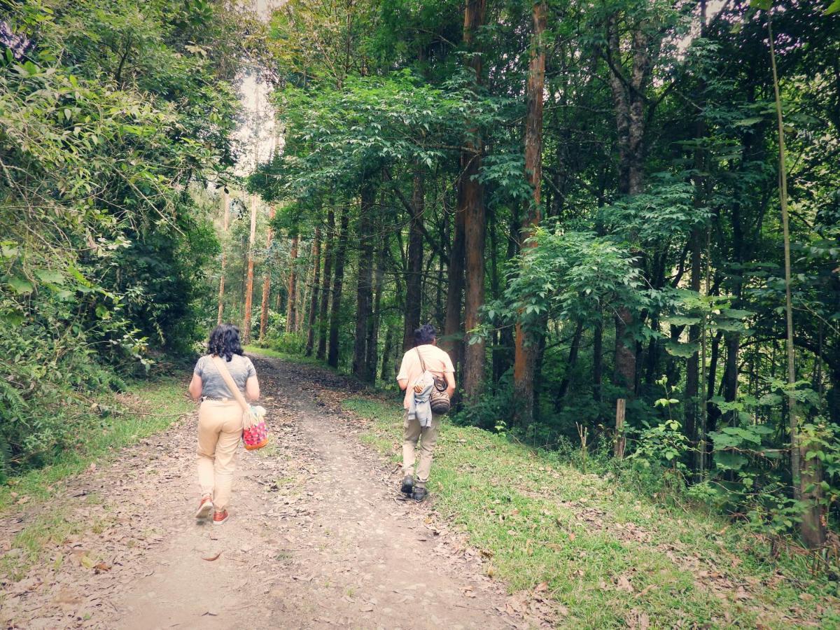 Finca Tradicional El Otono Pijao Ngoại thất bức ảnh