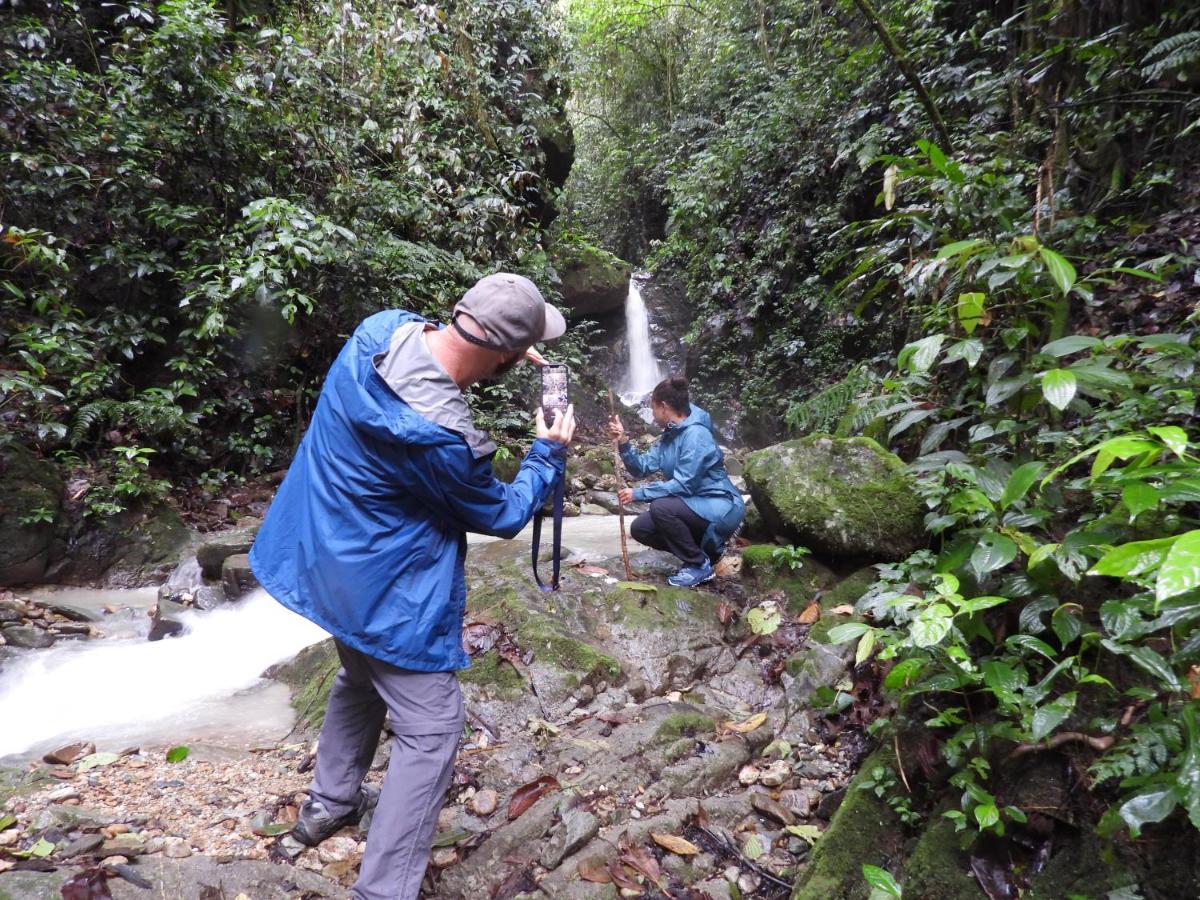 Finca Tradicional El Otono Pijao Ngoại thất bức ảnh