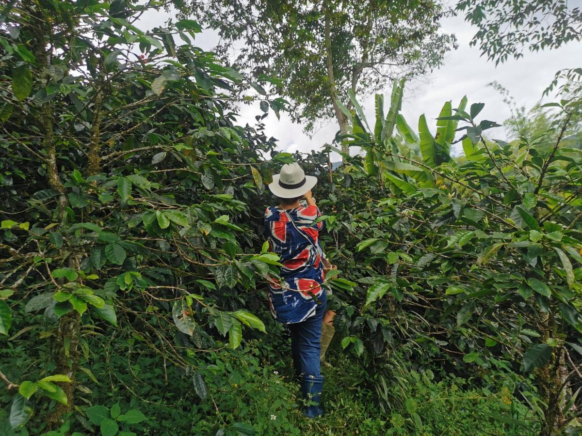 Finca Tradicional El Otono Pijao Ngoại thất bức ảnh